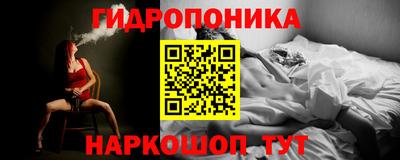 дмт Тара