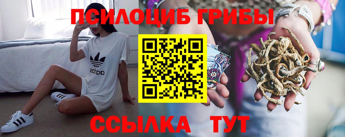 Псилоцибиновые грибы Cubensis  Галлюциногенные грибы Psilocybe  Вход с VPN  Батайск 